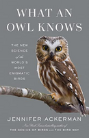what an owl knows