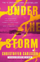 under the storm cover art
