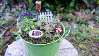 succulents, plants, miniature table and birdhouse in a green pot -- creates a fairy garden