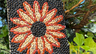 flower mosaic made of beans